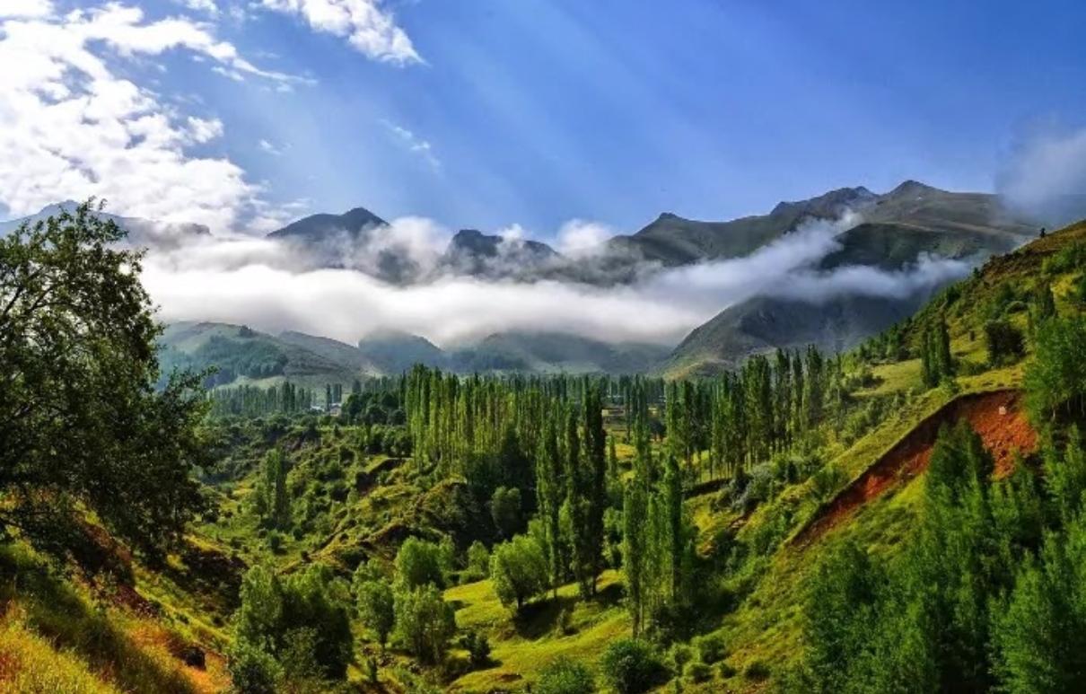 Kasauli